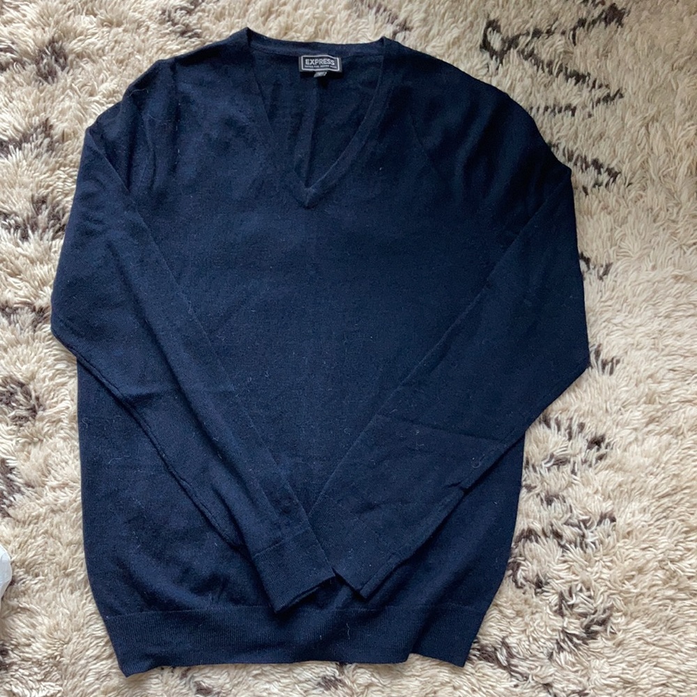 Express Merino Wool V-Neck Sweater